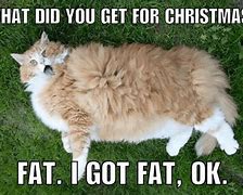 Image result for Funny Christmas Memes 2016