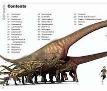 Image result for Kids Book Sizes