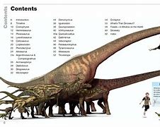 Image result for Book Size Scale