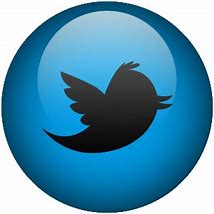 Image result for Animated Twitter Logo Transparent