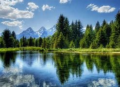 Image result for Mountain Tree Landscape