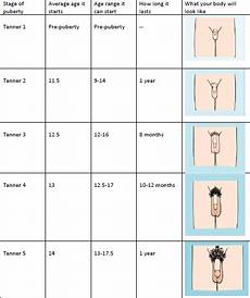 Puberty Health Info Plateau Pediatrics
