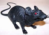 Image result for Rat Scary Toy