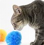 Image result for Crinkle Cat Toys