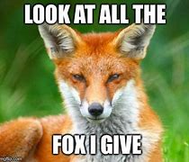 Image result for Flying Fox Meme