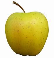 Image result for Golden Apple Clip Art