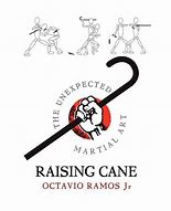 Image result for Martial Arts Cane Fighting