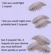 Image result for Kazuma Isopod Meme