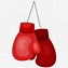 Image result for Animated Boxer