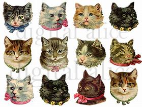 Image result for Victorian Cat Clip Art