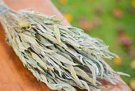 Image result for Dried Sage