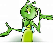 Image result for Cricket Insect Illustration