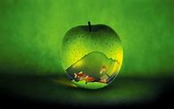 Image result for Creative Apple Wallpaper