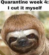 Image result for Sloth Pudding Meme