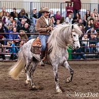 Image result for Professional Horse Trainers