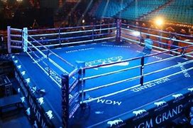 Image result for 20 by 20 Boxing Ring