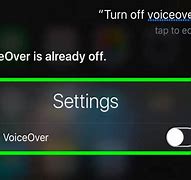 Image result for Turn Off Voice Over in iPhone