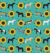 Image result for Horse Riding Wallpaper