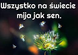 Image result for co_oznacza_Życie_jak_sen