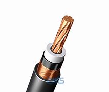 Image result for Standard Power Cable