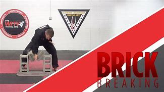 Image result for Martial Artist Breaking Bricks