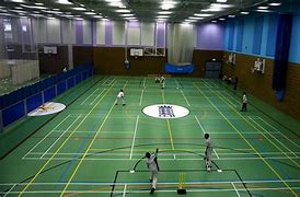 Image result for Indoor Cricket Pic