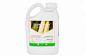 Image result for Trace Elements Fertilizer