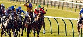 Image result for Newmarket Horse Racing