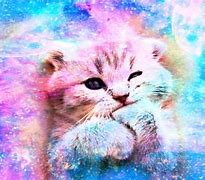 Image result for Pink Kitty Cat