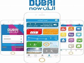 Image result for Dubai Now App