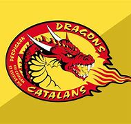 Image result for Dragons RFC
