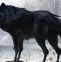 Image result for Black Wolves Wallpaper Desktop