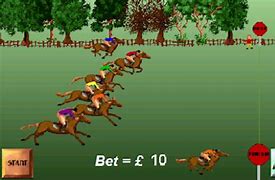 Image result for Flamingos and Horse Racing