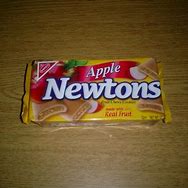 Image result for Apple Newton