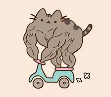 Image result for Muscly Cat