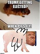 Image result for Pig Launcher Meme