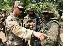 Image result for Army in Vietnam
