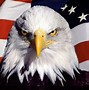 Image result for Bald Eagle American Flag Poster