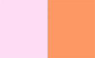 Image result for Rose Gold vs Pink