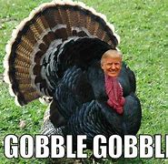 Image result for thanksgiving meme