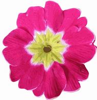 Image result for Flower Cursor