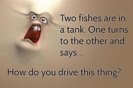 Image result for Funny Jokes What Did