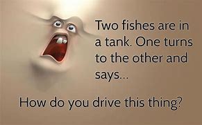 Image result for Daily Jokes Funny