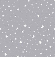 Image result for Space Gray Star