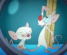 Image result for Pinky and the Brain Lab