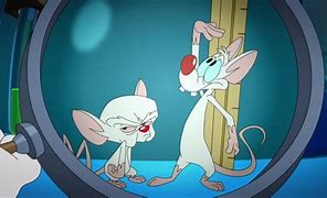 Image result for Animaniacs Pinky