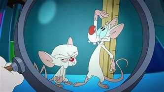 Image result for Animaniacs Pinky and the Brain Theme Song