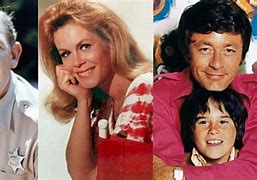 Image result for 60s TV Shows