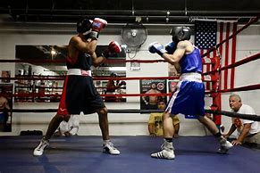 Image result for Sparring Gear