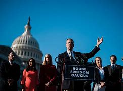 Image result for House Freedom Caucus Logo